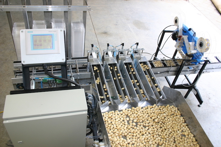 Produce Packaging Machinery NZ Fruit Packing Tauranga